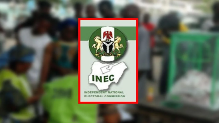 FG released N313.4bn to us for 2023 general elections – INEC